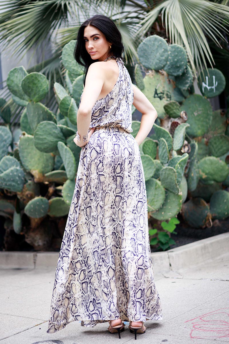 Snake Print  Maxi Dress